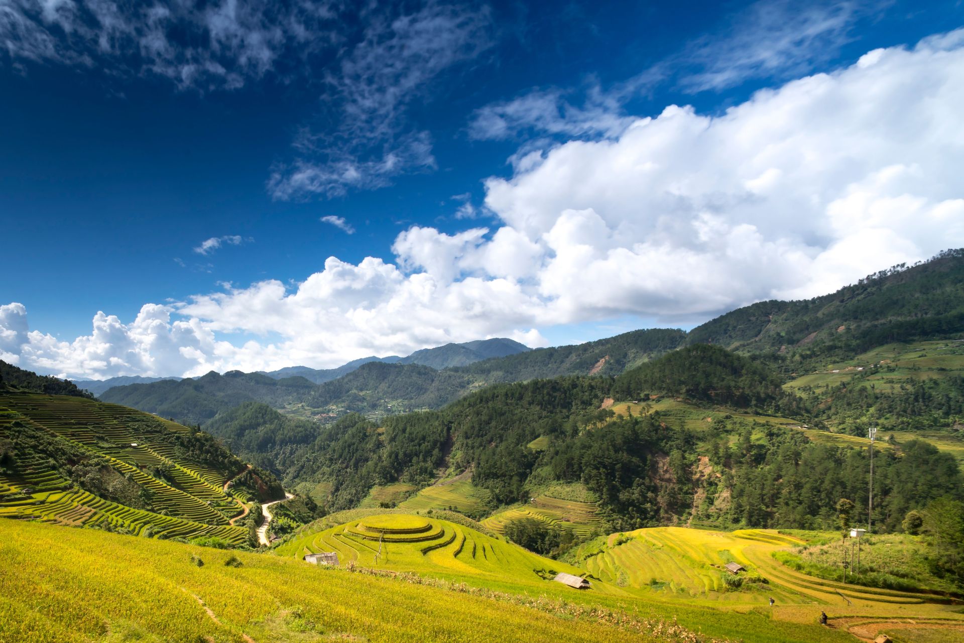Vietnam